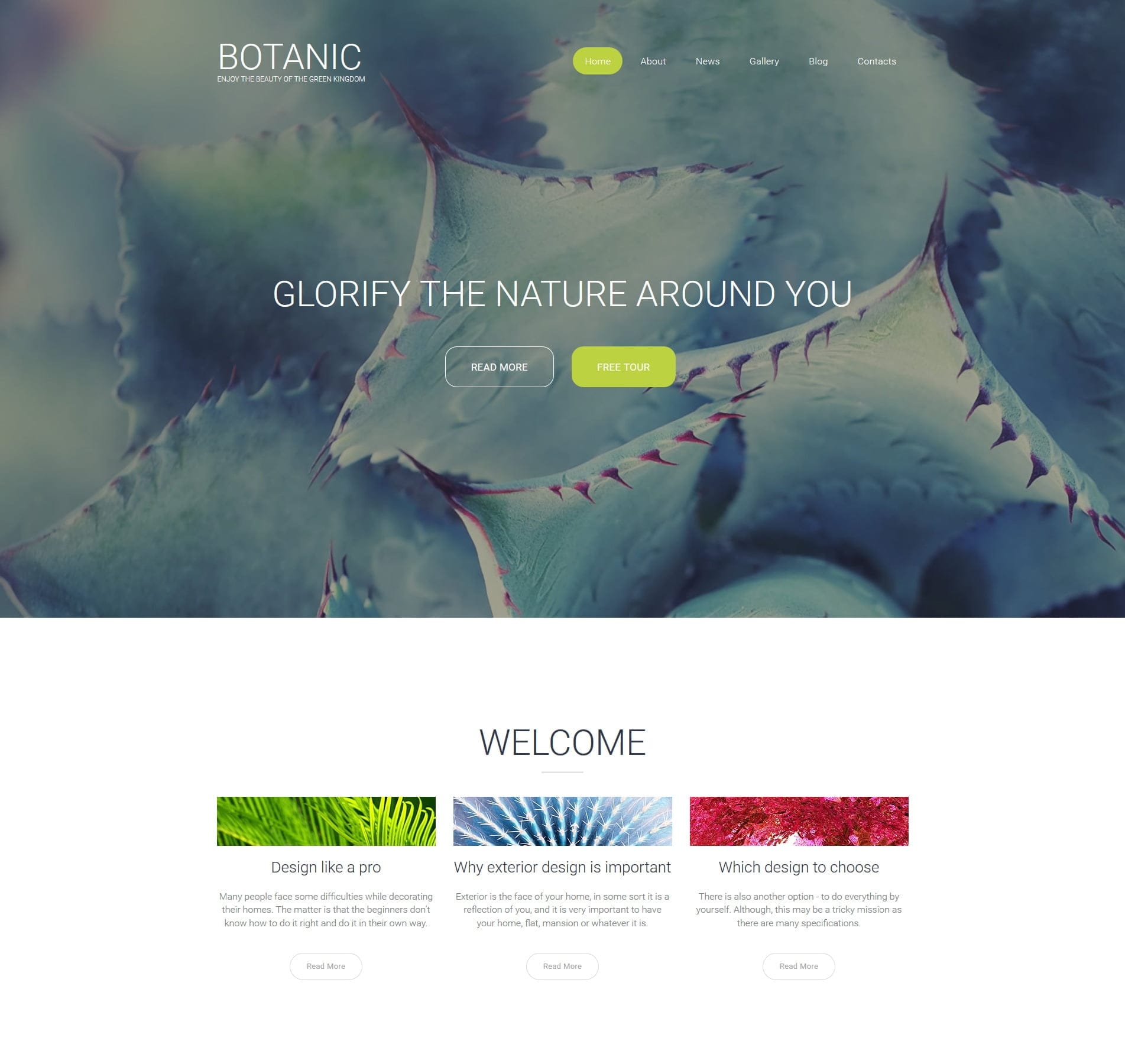 Garden design template for landscapers, garden planning, and outdoor décor