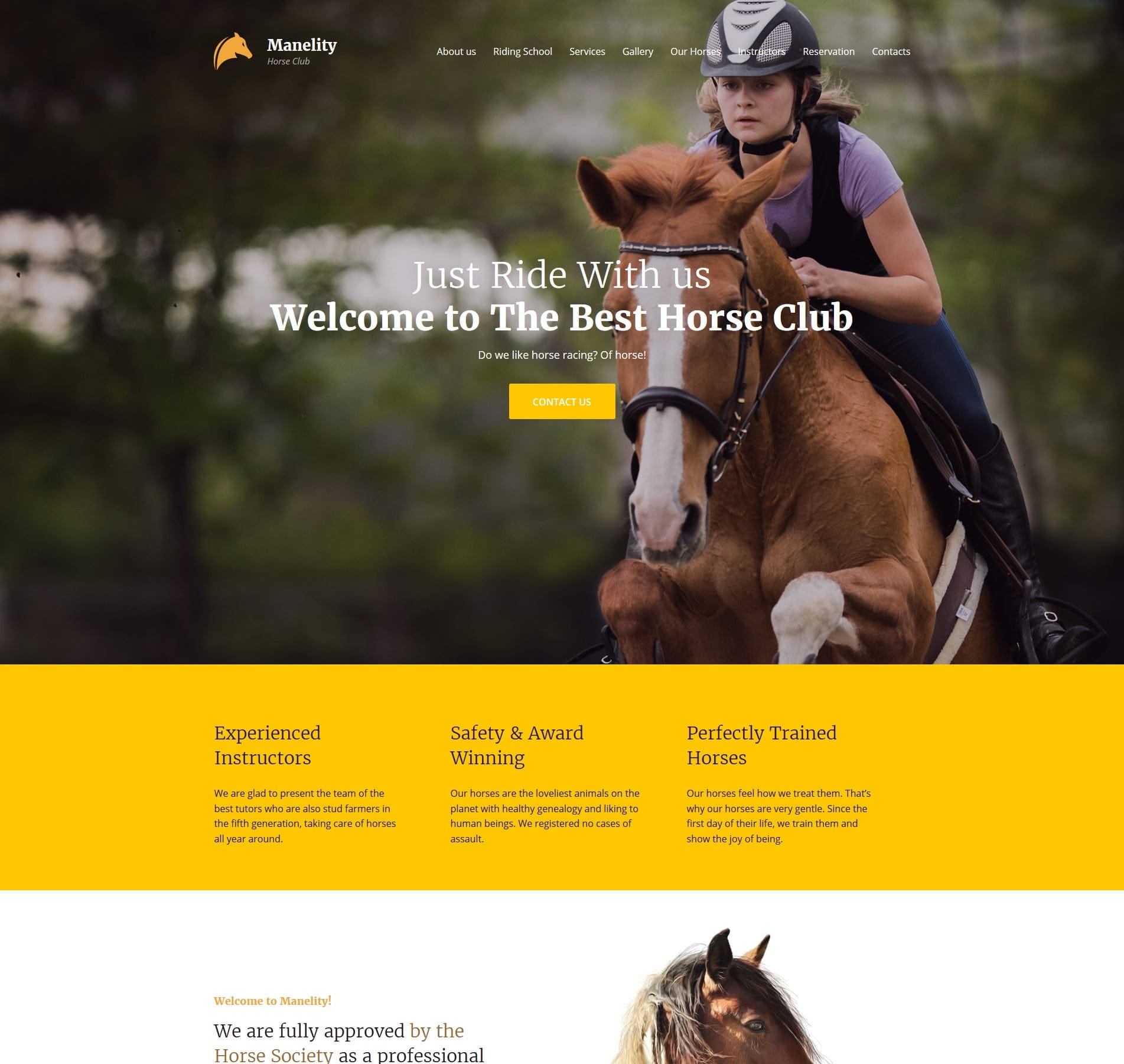 Horse website template for farms, equestrian centres, and stables