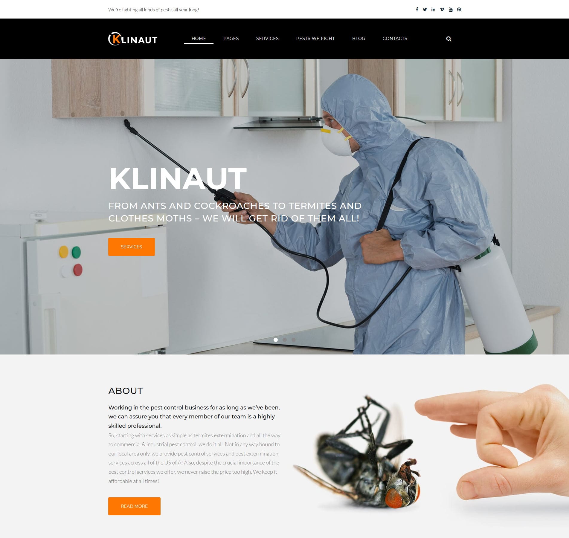 Pest control template for extermination services, pest management, and home protection