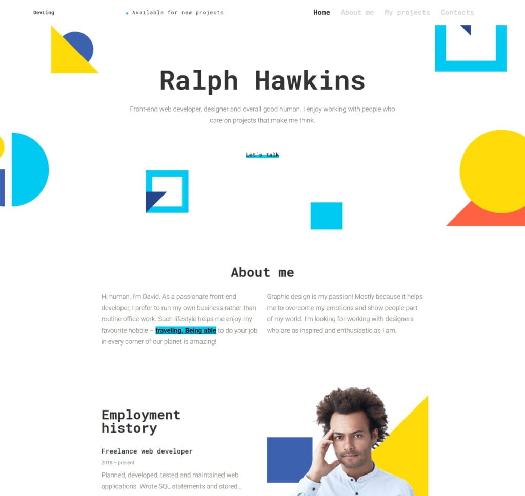 Web Developer Portfolio Website Template - Go Edit
